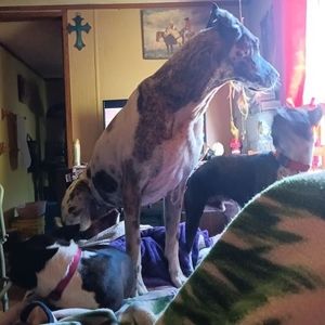 Meet your Posher, Robin